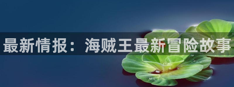 拷贝漫画app在哪下：最新情报：海贼王最新冒险故事