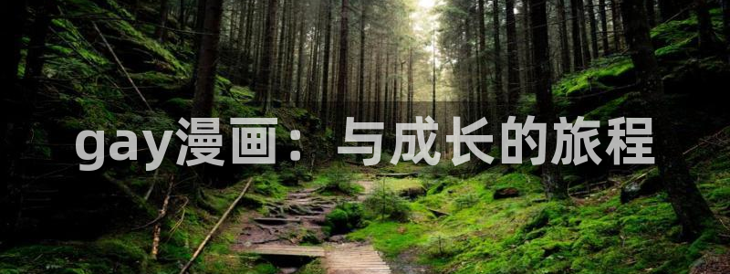 拷贝漫画苹果下载：gay漫画：与成长的旅程